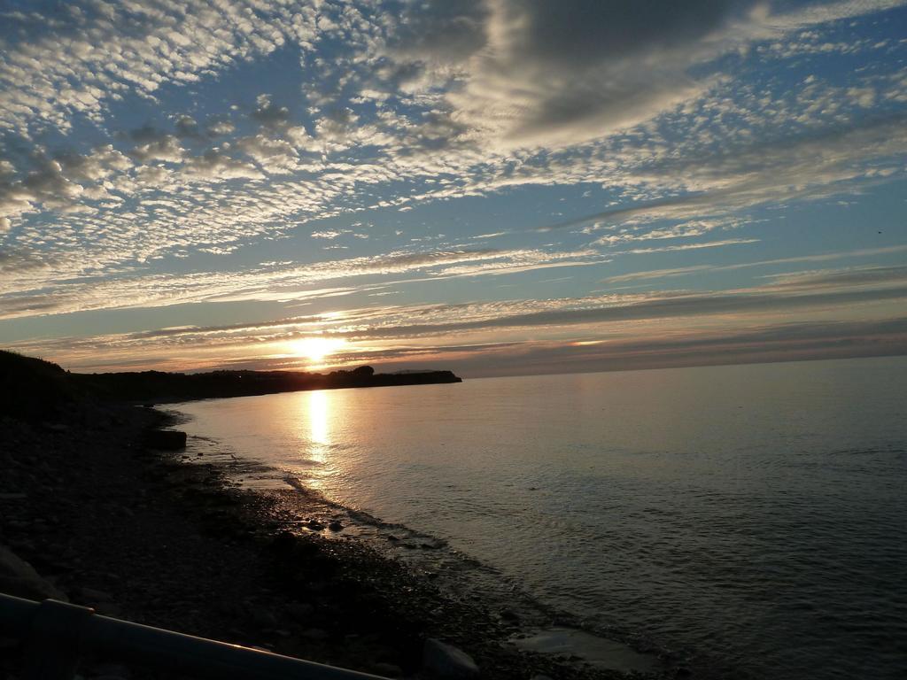 Court Farm Holiday Bungalows Ltd Watchet Exterior foto